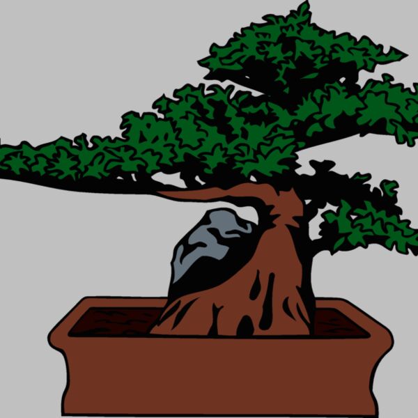 bonsai2 Thumbnail