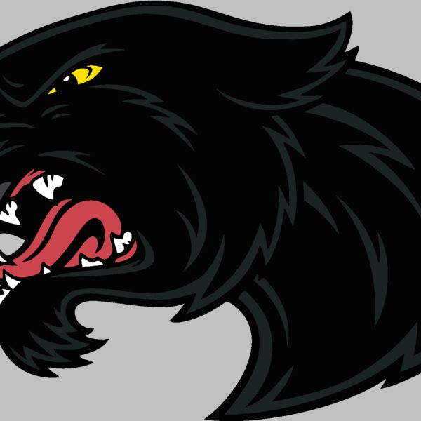 es2panther003clr Thumbnail