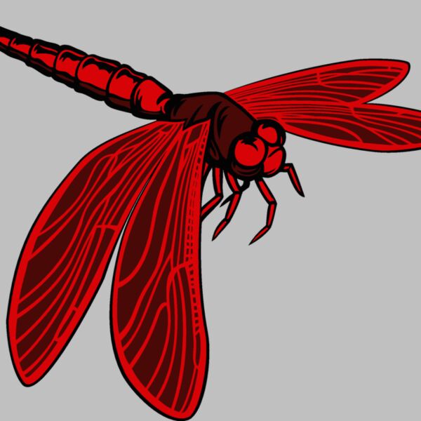 esdragonfly001clr Thumbnail