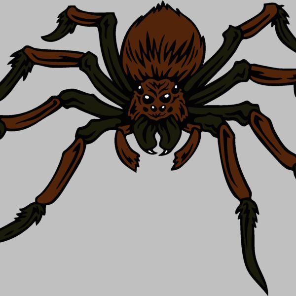 esspider004clr Thumbnail