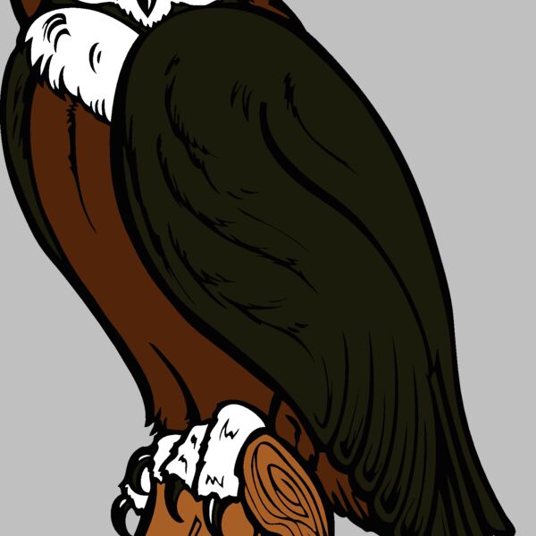 es2owl002clr Thumbnail