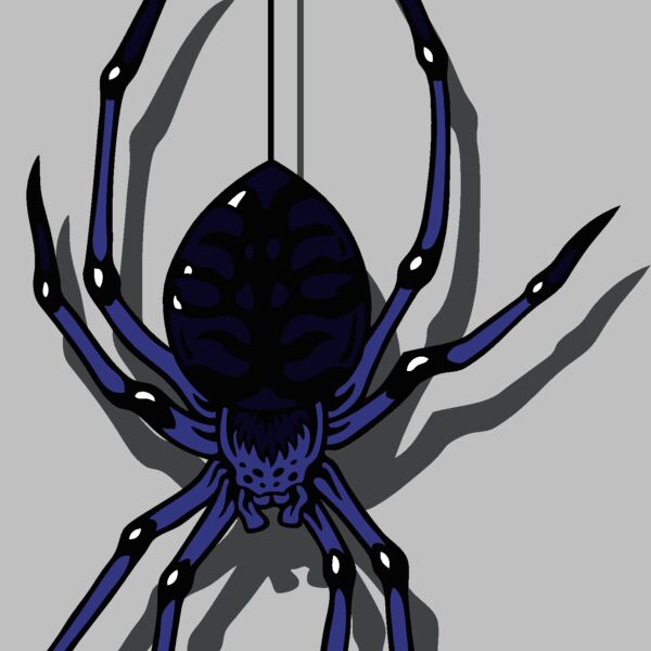 es2spider003clr Thumbnail
