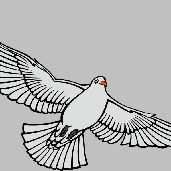 es3dove01clr Thumbnail