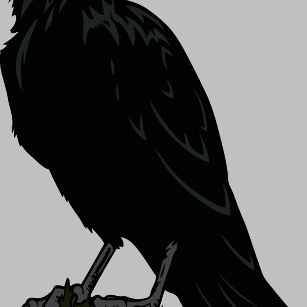 es2raven003clr Thumbnail