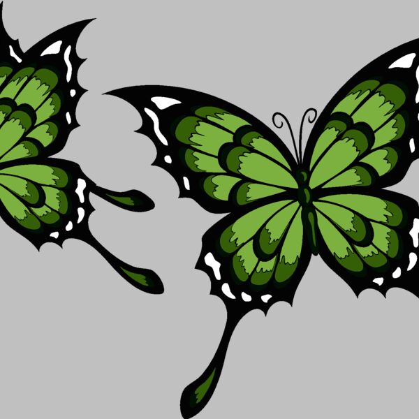 es2butterfly002clr Thumbnail