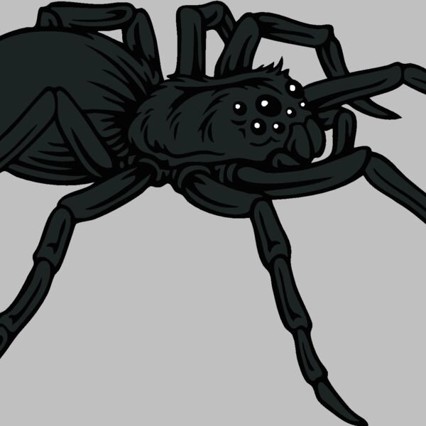 es2spider001clr Thumbnail