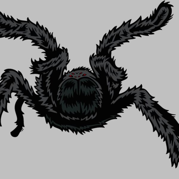 esspider005clr Thumbnail