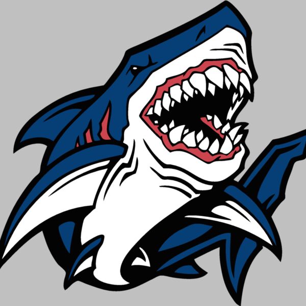 esshark002clr Thumbnail