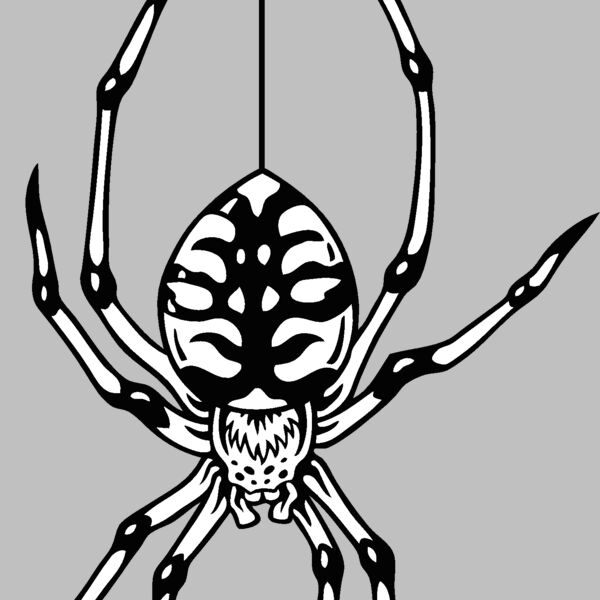 es2spider003bw Thumbnail