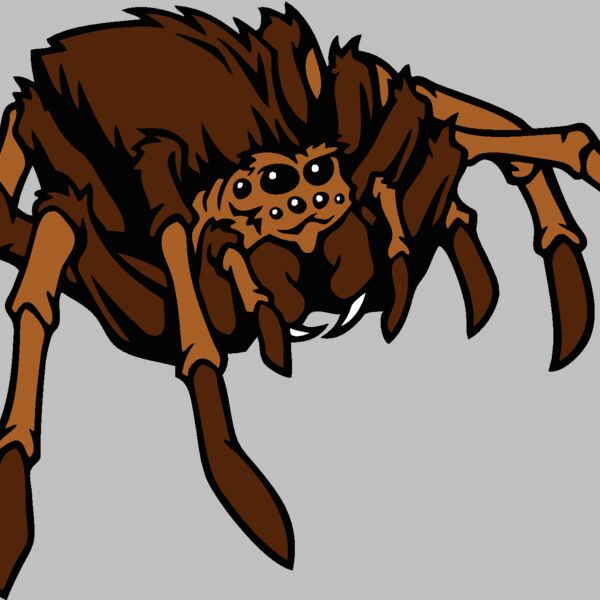 esspider001clr Thumbnail