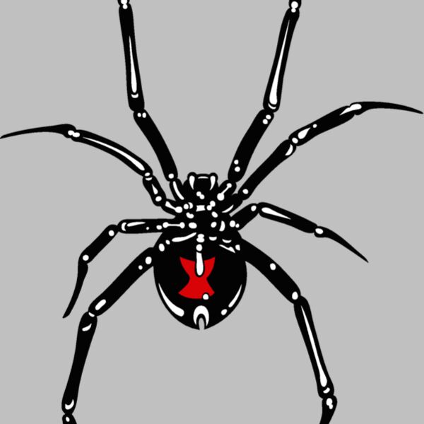 es2spider002clr Thumbnail