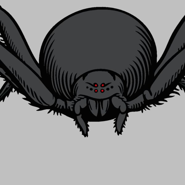 es2spider007clr Thumbnail