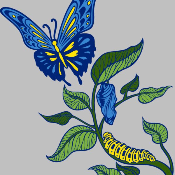 es3butterfly05clr Thumbnail