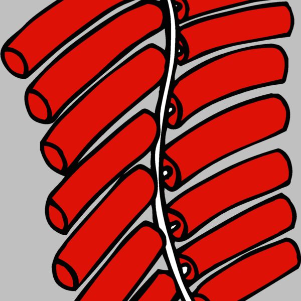 fireworks08 Thumbnail