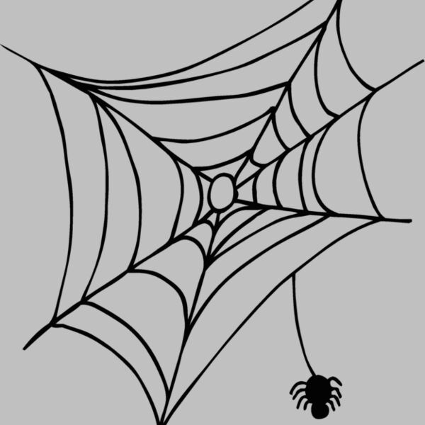 spiderweb1 Thumbnail