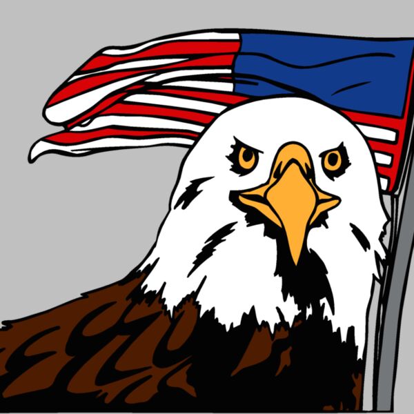eagleandflag1 Thumbnail