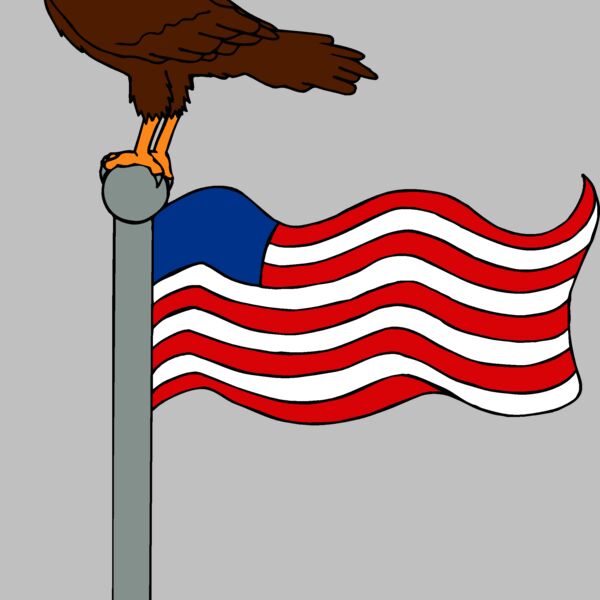 eagleandflag1 Thumbnail