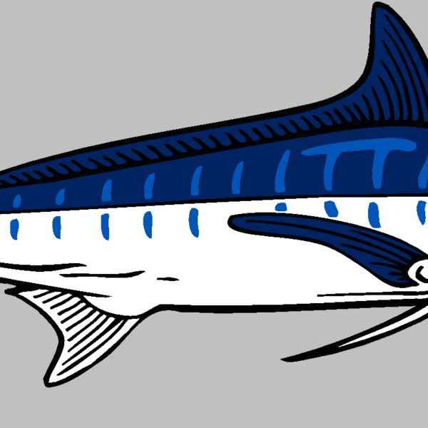 marlin Thumbnail