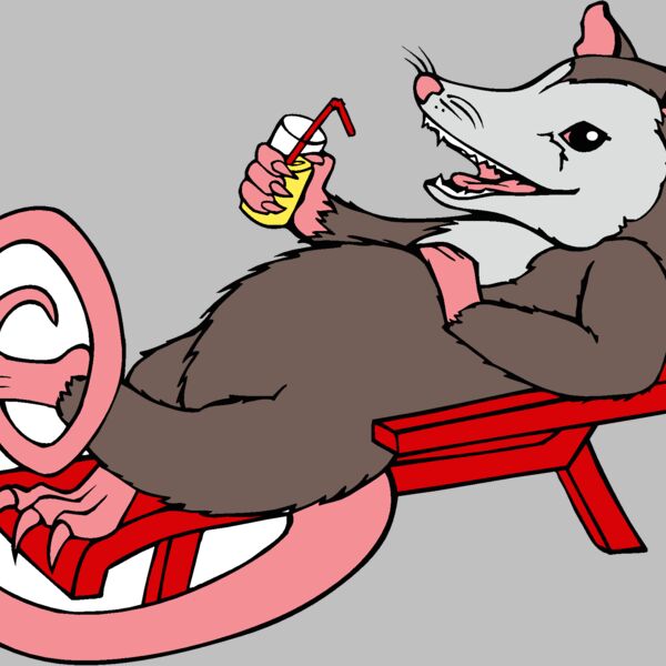 opossum kickback Thumbnail