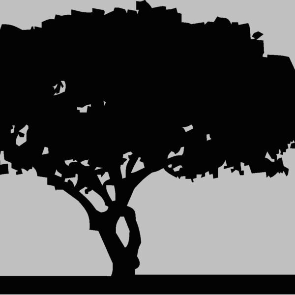 tree1 Thumbnail