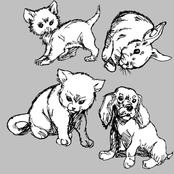 babyanimals Thumbnail