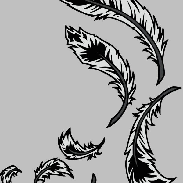 feathers06 Thumbnail