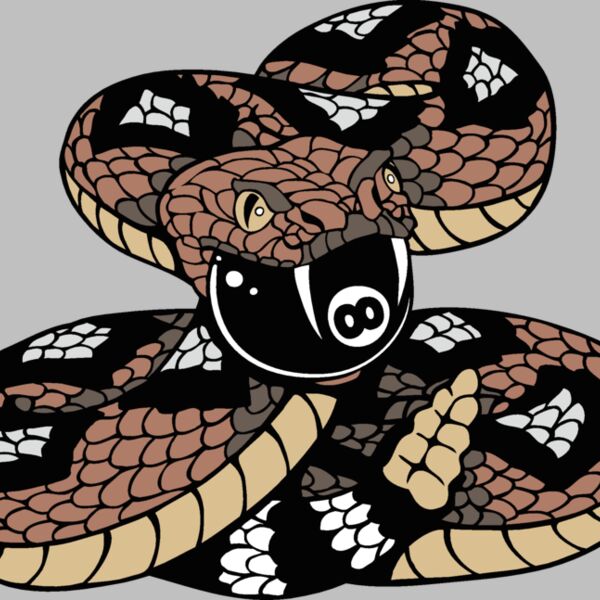 rattlesnakeeightball Thumbnail