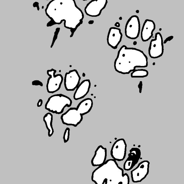 paws Thumbnail