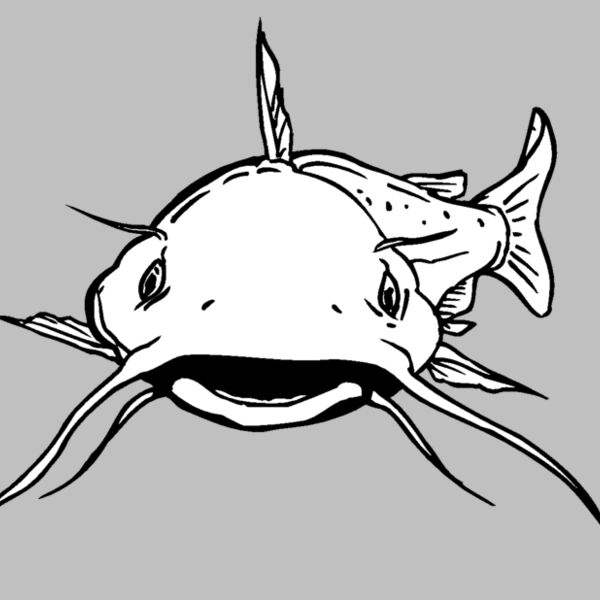 catfish1 Thumbnail