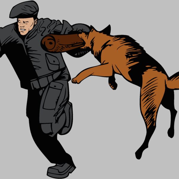 german shepherd 04 Thumbnail