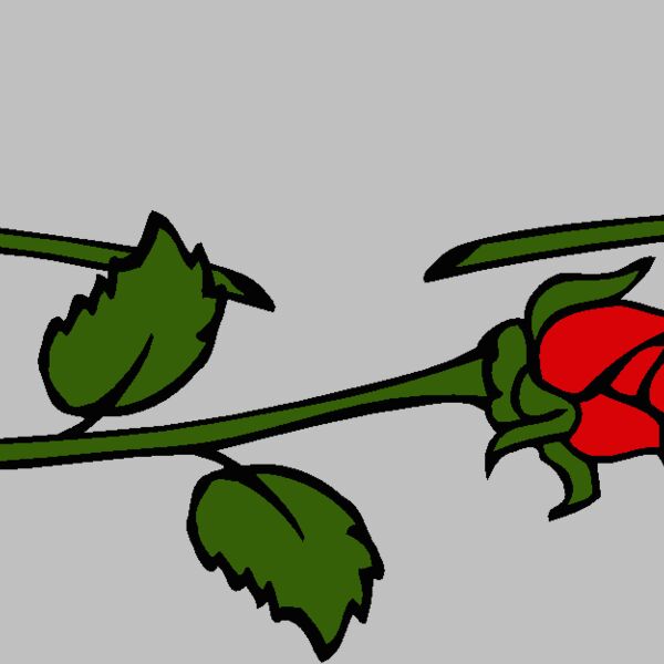 roses1 Thumbnail