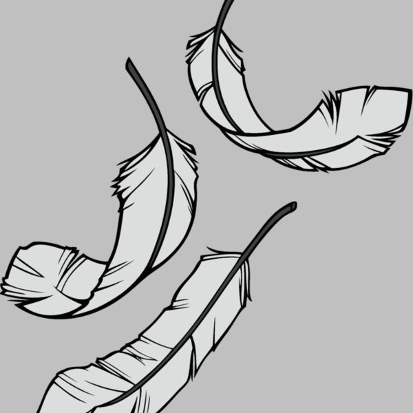 feathers08 Thumbnail