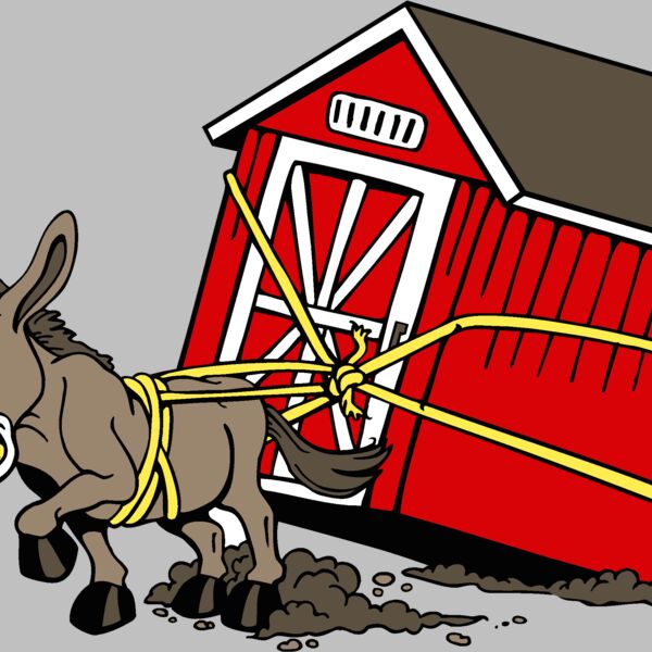 mulebarnpull Thumbnail