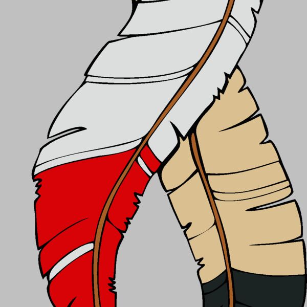 feathers10 Thumbnail