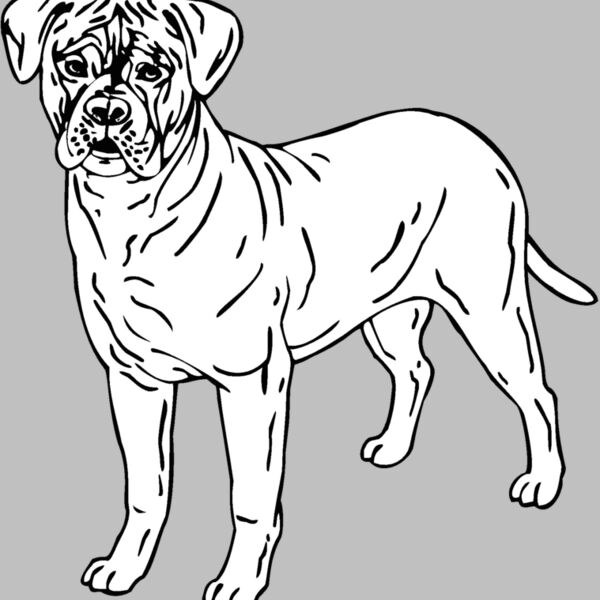 bullmastiff 01 Thumbnail