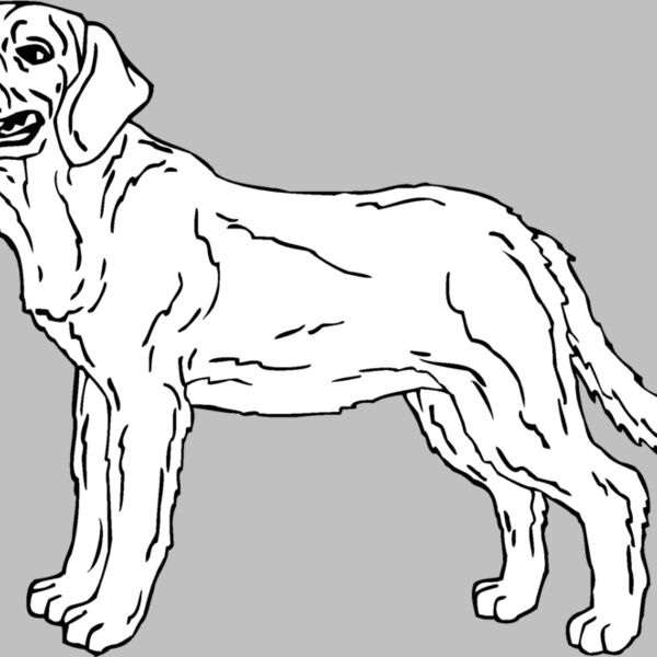 labrador01 Thumbnail