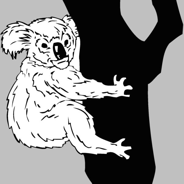 koala1 Thumbnail