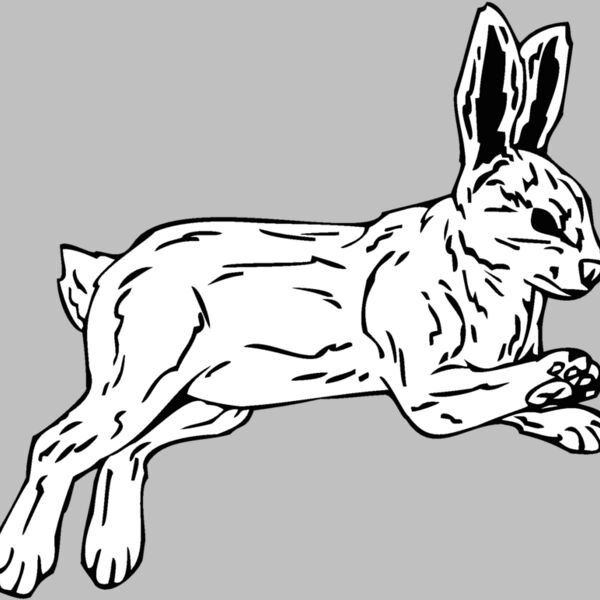 rabbit Thumbnail