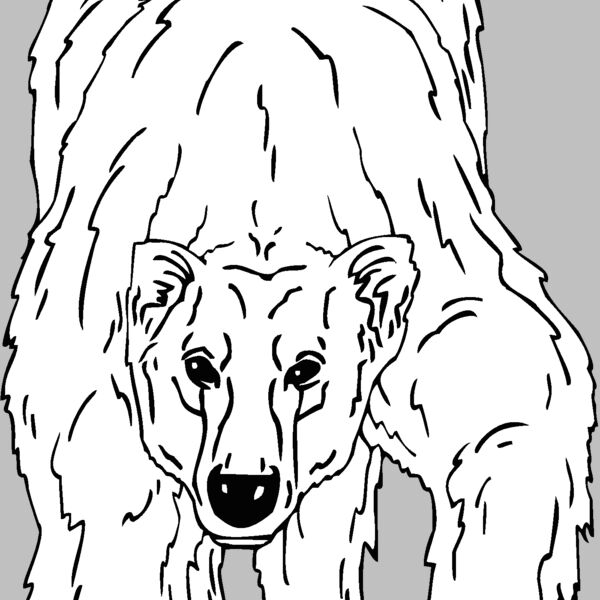 polar bear 1 Thumbnail