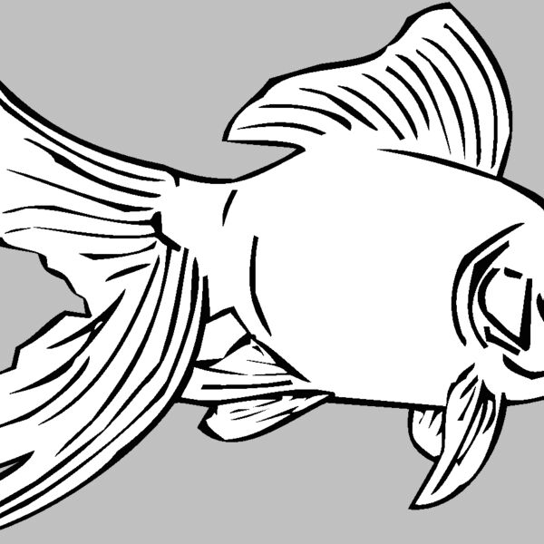 goldfish01 Thumbnail