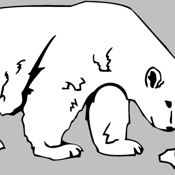 polar bear 2 Thumbnail