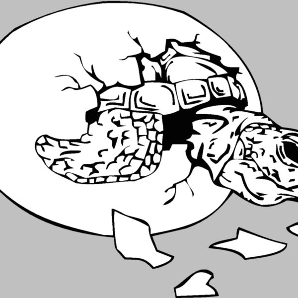 hatchingturtle Thumbnail