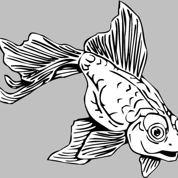 goldfish02 Thumbnail