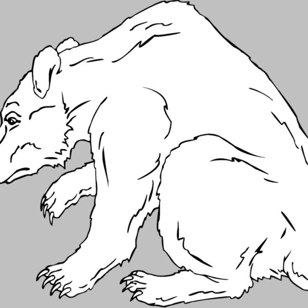 grizzlybear Thumbnail