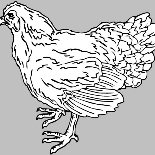 hen Thumbnail