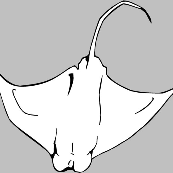 eagleray01 Thumbnail