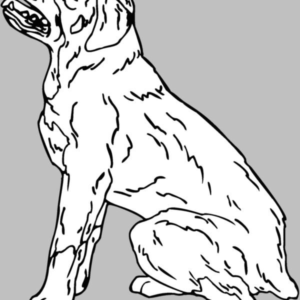 rottweiler Thumbnail