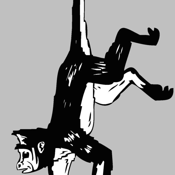 hangingmonkey Thumbnail