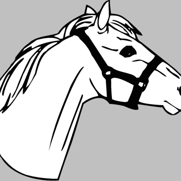 horsehead02 Thumbnail