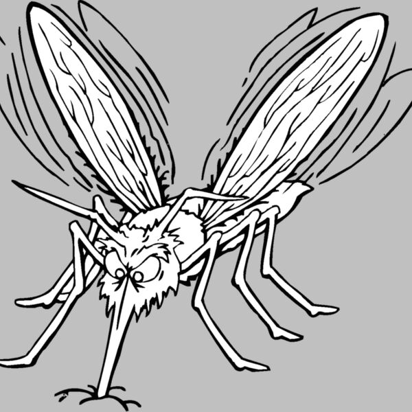 mosquito Thumbnail